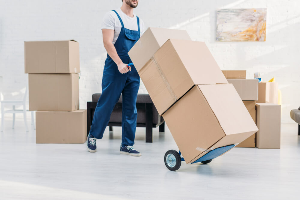 Moving Boxes In Sun City Center